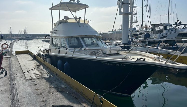 PHOTO-2026-03-11-15-59-03